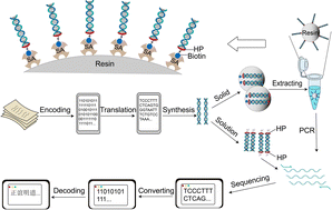 Graphical abstract: Headpiece-assisted DNA data storage in solution and solid
