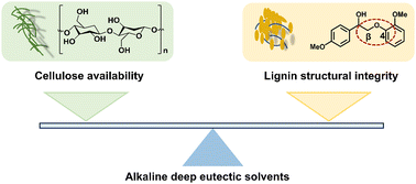 Graphical abstract: The swelling-induced fractionation strategy to mediate cellulose availability and lignin structural integrity