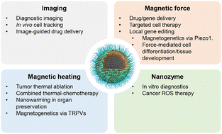 Graphical abstract: Advances in magnetic nanoparticles for molecular medicine