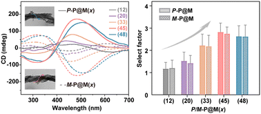 Graphical abstract: In situ growth of MnO2 nanoparticles on supramolecular polyaniline as chiral nanozymes for effective enantioselective catalysis