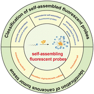 Graphical abstract: Classification of self-assembled fluorescent probes and their application in cancer diagnosis