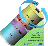 Graphical abstract: Accurately constituting robust interfaces for high-performance high-energy lithium metal batteries