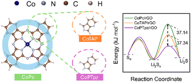 Graphical abstract: N skeleton-regulated cobalt phthalocyanine promotes polysulfide adsorption and redox kinetics
