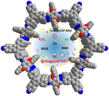 Graphical abstract: A covalent organic framework-based nanoreactor for enhanced chemodynamic therapy through cascaded Fenton-like reactions and nitric oxide delivery