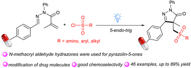Graphical abstract: Access to 1-aryl-pyrazolin-5-ones via photoinduced chemoselective cyclization of N-methacrylo aldehyde hydrazones