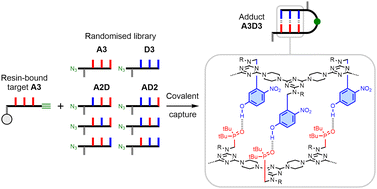 Graphical abstract: Sequence-selective pulldown of recognition-encoded melamine oligomers using covalent capture on a solid support