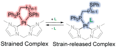 Graphical abstract: Manipulating metal–ligand binding in allosteric coordination complexes through ring strain