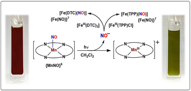Graphical abstract: Photo-induced nitroxyl anion/HNO release from a nitrosyl complex of Mn(ii)–porphyrinate