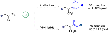Graphical abstract: Nickel-catalyzed reductive cross-coupling of difluoromethylated secondary alkyl bromides with organohalides