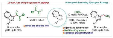 Graphical abstract: Interrupted borrowing hydrogen strategy enabled aminomethylation and direct cross-dehydrogenative coupling strategy enabled dicarbonylation reactions of imidazo[1,5-a]pyridines