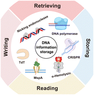 Graphical abstract: Enzymes as green and sustainable tools for DNA data storage