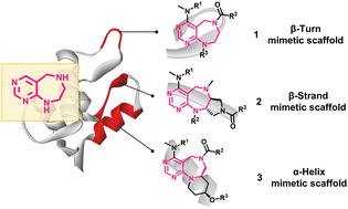 Graphical abstract: Rational design strategies for innovative small-molecule scaffolds inspired by three pivotal protein secondary structures