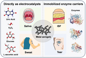 Graphical abstract: Functional design of metal aerogels for wearable electrochemical biosensing devices