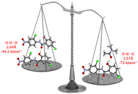 Graphical abstract: Why does the niclosamide drug form solvates or hydrates?