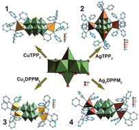 Graphical abstract: Synthesis, structures and luminescence of several coordination complexes based on β-octamolybdate and Ag/Cu phosphine units