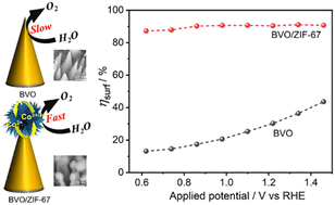 Graphical abstract: Nanotip effect assisted in situ growth of ZIF-67 nanoflowers on a BiVO4 photoelectrode to boost photoelectrochemical water oxidation