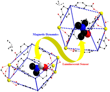 Graphical abstract: Construction of porous 2D Dy3+ metal organic frameworks: solvent responsive magnetic dynamics under 0 Oe dc field and luminescent sensors for Fe3+ ions