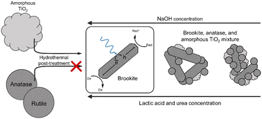 Graphical abstract: Amorphous titania as a precursor to brookite-based materials obtained via hydrothermal treatment