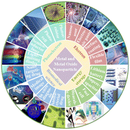 Graphical abstract: The application of supercritical fluid technology in the synthesis of metal and metal oxide nanoparticles