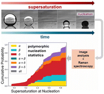 Graphical abstract: Rapid polymorphic screening using sessile microdroplets: competitive nucleation of mannitol polymorphs