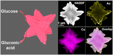 Graphical abstract: Facile preparation of copper-based amorphous/crystalline heterophase nanocatalysts and their applications as efficient non-enzymatic biosensors