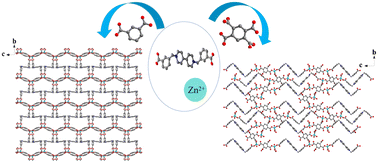 Graphical abstract: Design and synthesis of two functional coordination polymers based on the 1,1′-bis(3-carboxybenzyl)-4,4′-bipyridinium ligand