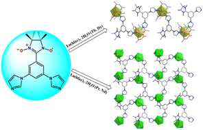 Graphical abstract: 2p–4f one-dimensional chains and two-dimensional networks assembled by a multicoordinating nitronyl nitroxide radical ligand