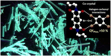Graphical abstract: Sensitizing the phosphorescence of pyromellitic diimide through non-covalent halogen–carbonyl interactions