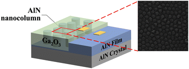 Graphical abstract: Self-powered solar-blind photodetectors based on AlN/a-Ga2O3 heterojunctions with a nanocolumnar structure on various substrates