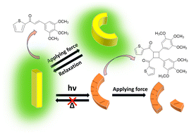 Graphical abstract: Photoinduced irreversible transformation from elastic to bent brittle crystals: importance of the reaction pathway in the irreversibility of the molecular movement