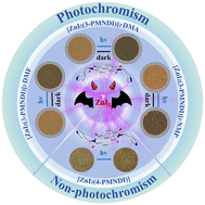 Graphical abstract: Effect of iodide on the electronic and photoresponsive behaviors of 1D naphthalenediimide-based zinc coordination polymers