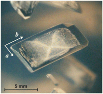 Graphical abstract: Experimental evidence of the pyroelectric nature of struvite