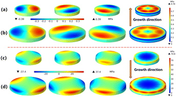 Graphical abstract: Comparing basal and prismatic slips induced by thermal stresses in 4H-SiC crystals