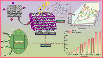 Graphical abstract: I3− entrapped cationic Zn(ii) coordination polymer: selective detection and dose-dependent photocatalytic degradation of roxithromycin
