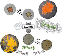 Graphical abstract: Mechanical-force-induced thermochromic-to-photochromic conversion of a coupled Schiff base hinged via a biphenyl moiety