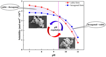 Graphical abstract: Mutual polymorphic transformation of CsMgPO4·6H2O induced by solution pH