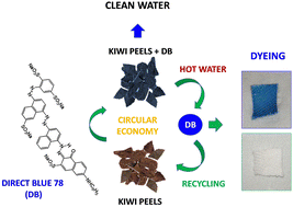 Graphical abstract: Kiwi peel waste as a recyclable adsorbent to remove textile dyes from water: Direct Blue 78 removal and recovery