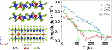 Graphical abstract: Multiple coherent amplitude modes and exciton–phonon coupling in quasi-one-dimensional excitonic insulator Ta2NiSe5