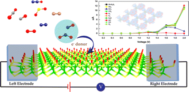 Graphical abstract: Realization of efficient and selective NO and NO2 detection via surface functionalized h-B2S2 monolayer