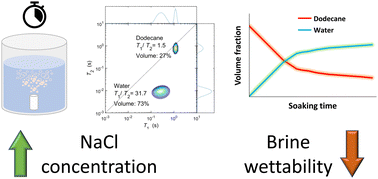 Graphical abstract: Investigating the behaviour of NaCl brines and hydrocarbons in porous alumina using low-field NMR relaxation and diffusion methods