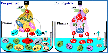 Graphical abstract: Insights into the mechanisms of plasma physicochemical characteristics on ultralong-lasting plasma-activated water: the influence of DC power polarity on RONS generation
