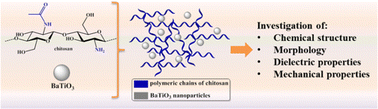 Graphical abstract: Biophysical stimulation for bone regeneration using a chitosan/barium titanate ferroelectric composite