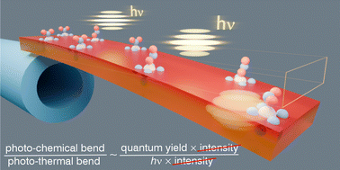Graphical abstract: Determining the quantum yield of photochemical reactions in crystals from simultaneous effects of photothermal and photochemical bending of needle-shaped crystals