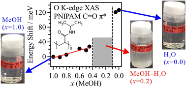 Graphical abstract: Mechanism of poly(N-isopropylacrylamide) cononsolvency in aqueous methanol solutions explored via oxygen K-edge X-ray absorption spectroscopy