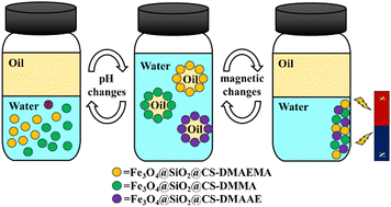 Graphical abstract: Multi-responsive Pickering emulsifiers: a comprehensive study on the emulsification–demulsification behavior of modified chitosan-coated Fe3O4 nanocomposites