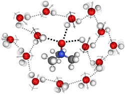 Graphical abstract: TMAO perturbs intermolecular vibrational motions of water revealed by low-frequency modes