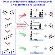 Graphical abstract: Role of the hydrocarbon molecular structure in CNT growth on Fe–Al catalysts