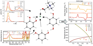 Graphical abstract: On the composition and isomerism effect in the thermal and structural properties of choline chloride/hydroxyphenol deep eutectic solvents