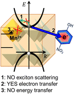 Graphical abstract: Ultrafast electron shuttling suppresses the energy transfer process in Mn-doped CsPbCl3 nanocrystals