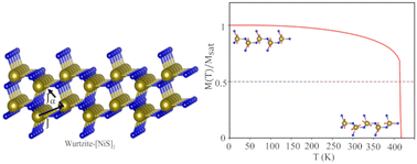 Graphical abstract: The antiferromagnetic phase of a wurtzite nickel sulfide monolayer